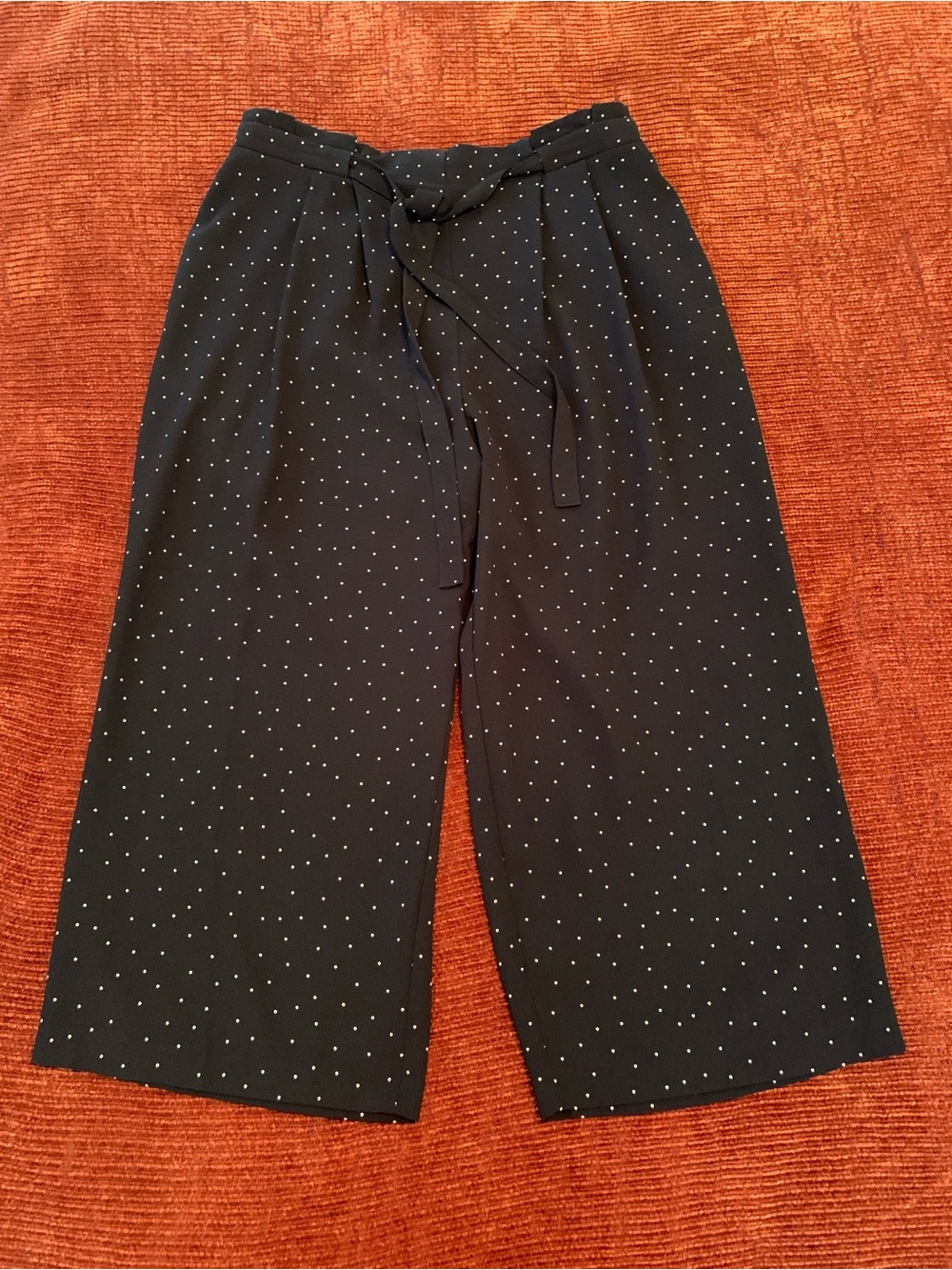 NWOT Navy & White Polk-a-Dot Silk-Like Dressy Trousers (Belk)